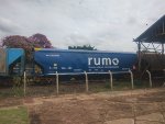 RUMO HTT-065585-6